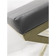 Gray Polyurethane Chair with Gold Base