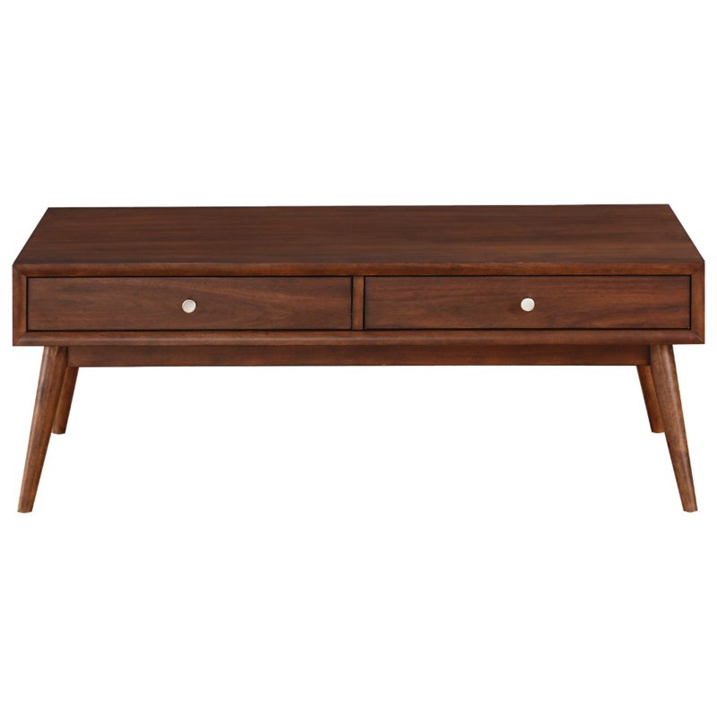 Lexicon Frolic Wood 2 Drawer Coffee Table in Brown
