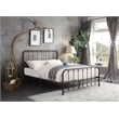 Lexicon Larkspur Eastern King Metal Platform Bed in Dark Bronze