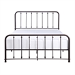 Lexicon Larkspur Queen Metal Platform Bed in Dark Bronze