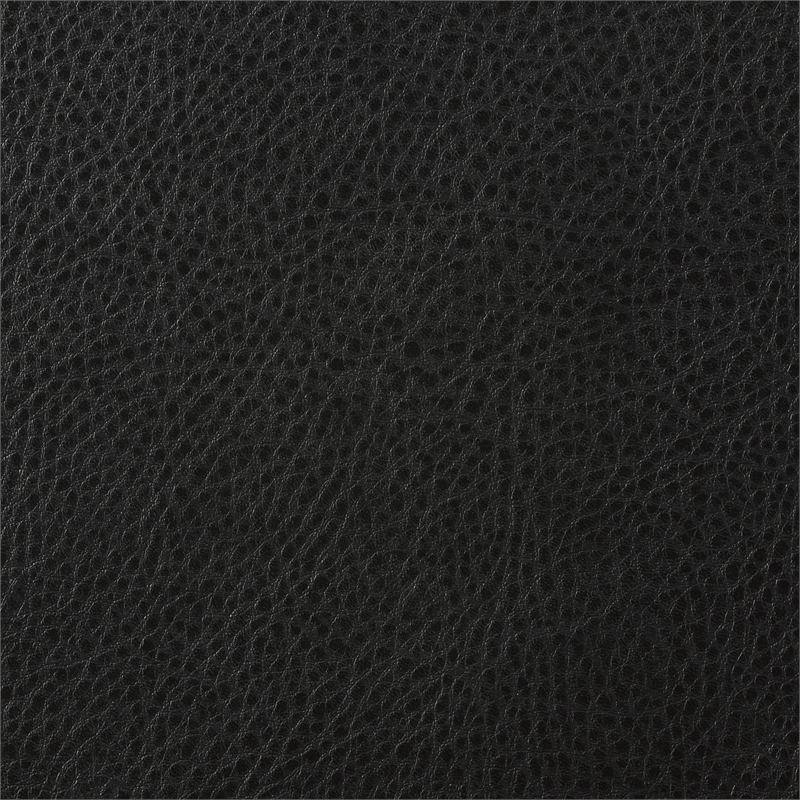 Lexicon Rubin Bonded Leather Sofa in Black