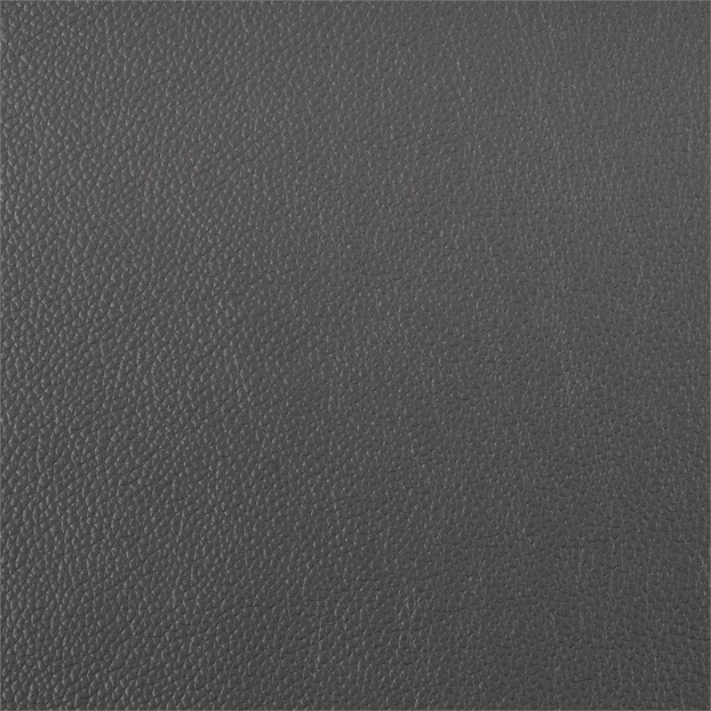 Lexicon Mischa Leather Match Accent Chair in Dark Gray
