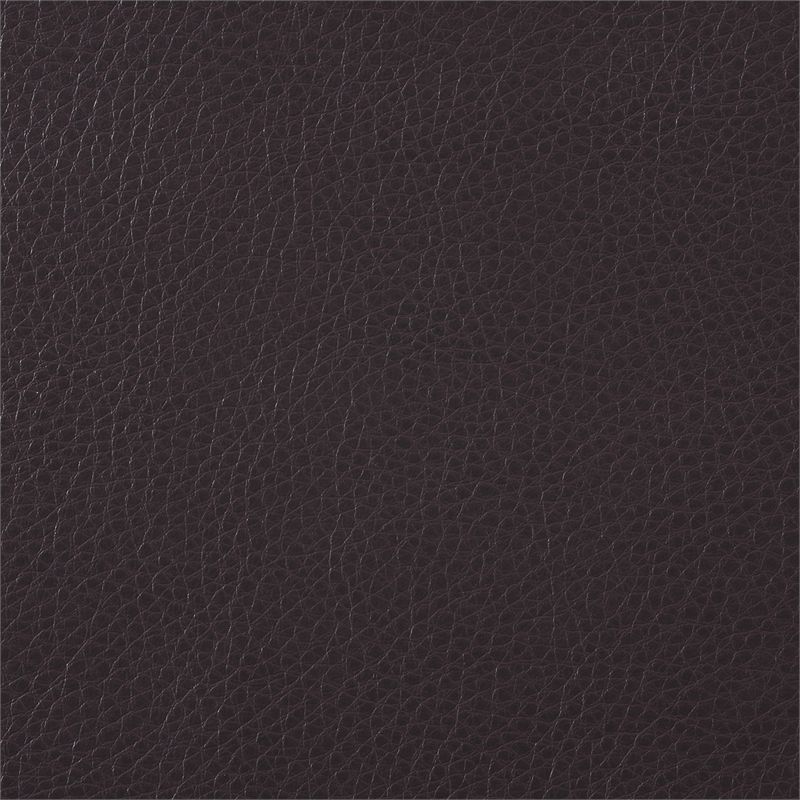 Lexicon Rubin Bonded Leather Accent Chair in Dark Brown