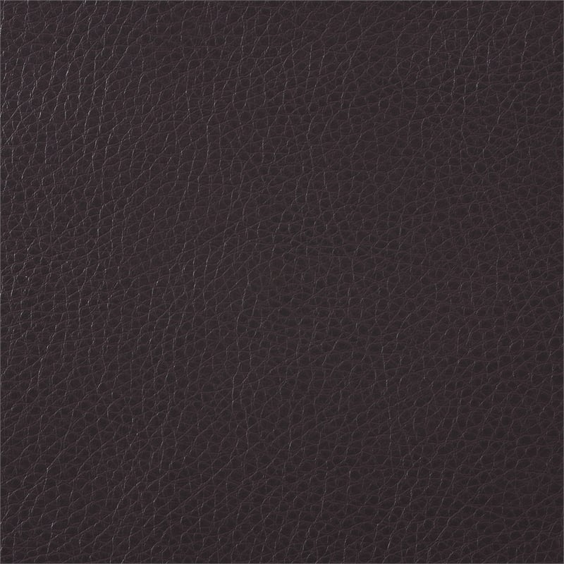 Lexicon Rubin Bonded Leather Loveseat in Dark Brown