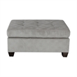 Lexicon Emilio Velvet Upholstered Ottoman in Taupe