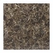 Lexicon Tempe Contemporary Metal Counter Height Dining Room Table in Black