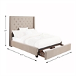Lexicon Fairborn Fabric Queen Bed with Storage Drawers in Beige