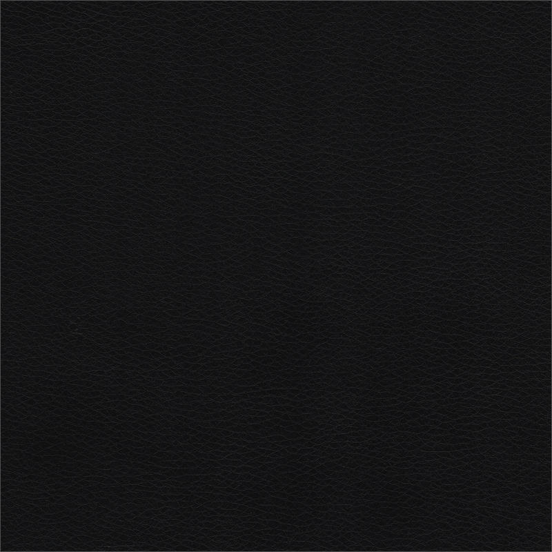 Lexicon Cranley Traditional Faux Leather Double Reclining Loveseat in Black