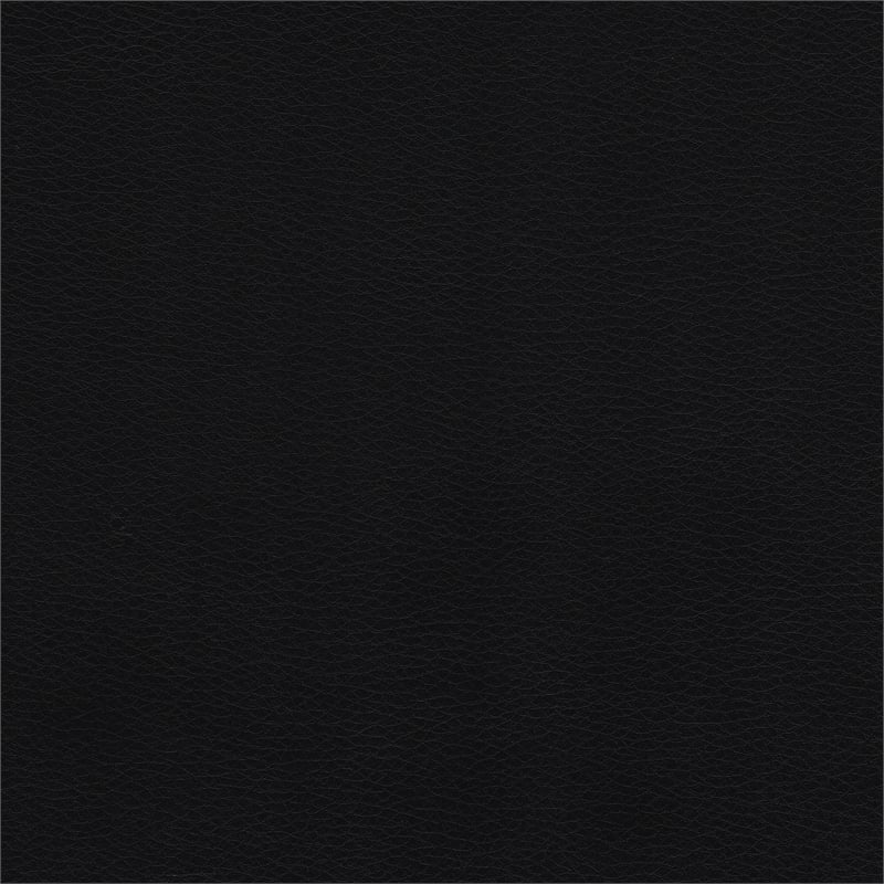 Lexicon Cranley Traditional Faux Leather Double Reclining Sofa in Black