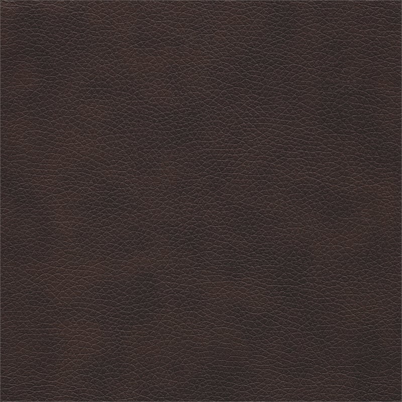 Lexicon Cranley Traditional Faux Leather Double Reclining Sofa in Brown