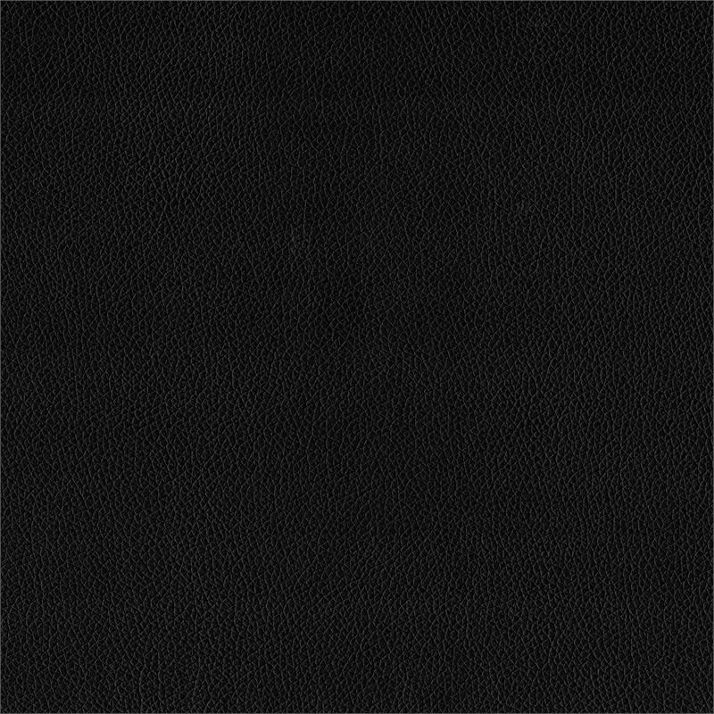 Lexicon Lorenzi Contemporary Wood and Faux Leather Eastern King Bed in Black