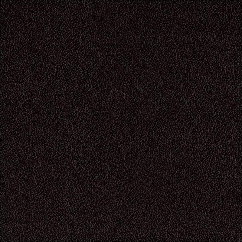 Lexicon Lorenzi Contemporary Wood and Faux Leather Queen Bed in Dark Brown