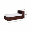 Lexicon Rowe Wood Twin Bookcase Bed with Twin Trundle in Dark Cherry