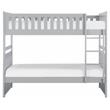 Lexicon Orion Transitional Wood Twin over Twin Bunk Bed in Gray