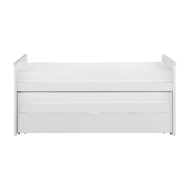 Lexicon Galen 81.5