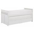 Lexicon Galen 81.5