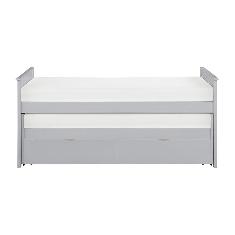Lexicon Orion 81.5