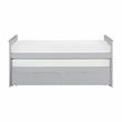 Lexicon Orion 81.5