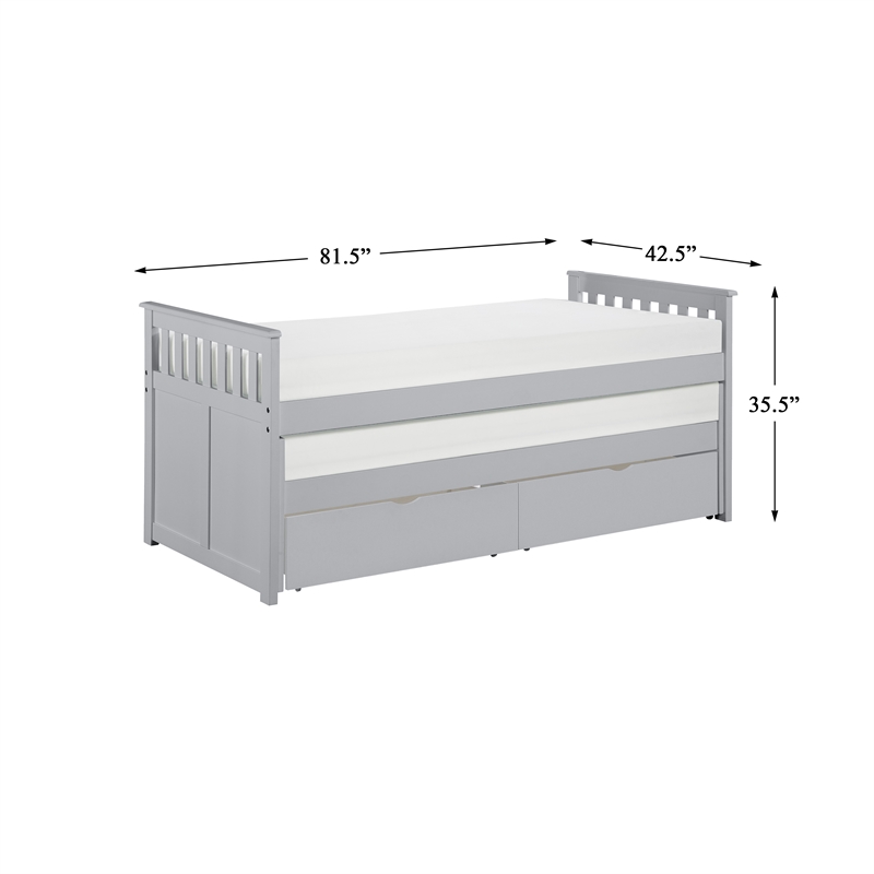 Lexicon Orion 81.5