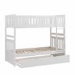 Lexicon Galen Transitional Wood Twin over Twin Bunk Bed with Trundle in White
