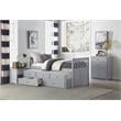 Lexicon Orion Wood Twin Bed with 2 Storage Drawer Trundle Bed in Gray