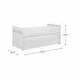Lexicon Galen 81.5