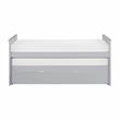 Lexicon Orion 81.5