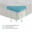 Lexicon Homelegance Bedding 10