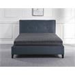 Lexicon Homelegance Bedding 8