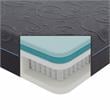 Lexicon Homelegance Bedding 14
