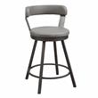 Lexicon Appert Metal Swivel Counter Height Chair in Gray (Set of 2)