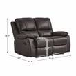 Lexicon Dawson Double Reclining Love Seat in Brown