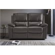 Lexicon Dawson Double Reclining Love Seat in Brown