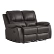 Lexicon Dawson Double Reclining Love Seat in Brown