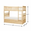 Lexicon Bartly Pine Wood Twin/Twin Bunk Bed with Twin Trundle in Natural Pine