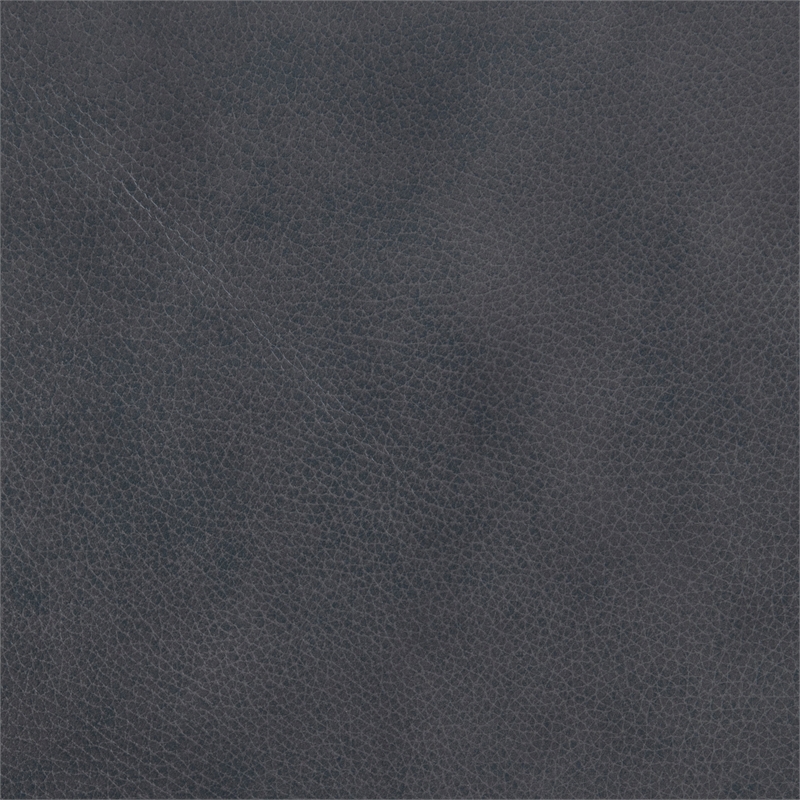 Lexicon Thierry Leather 2-Piece Upholstered Sofa Set in Gray