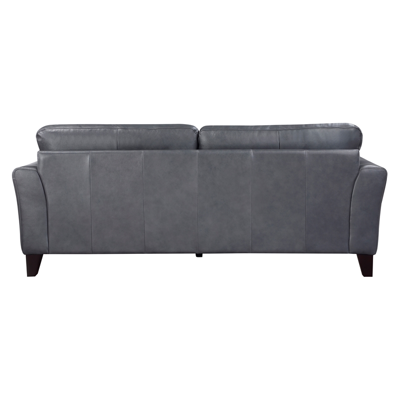 Lexicon Thierry Leather 2-Piece Upholstered Sofa Set in Gray