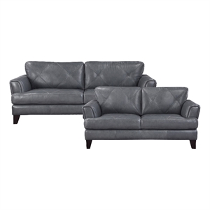 Lexicon Thierry Leather 2-Piece Upholstered Sofa Set in Gray