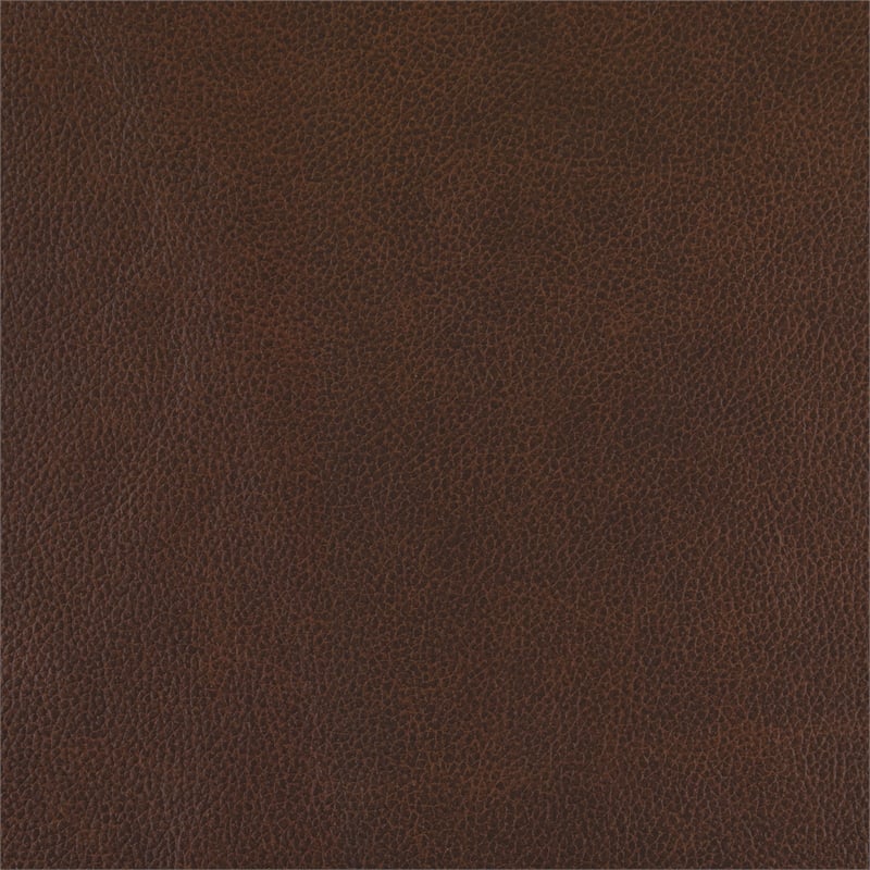 Lexicon Soren Leather 2-Piece Upholstered Sofa Set in Brown