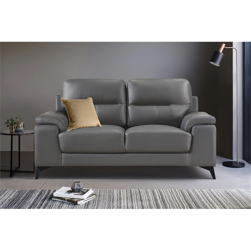 Lexicon Mischa Leather 2-Piece Upholstered Sofa Set in Dark Gray