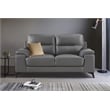 Lexicon Mischa Leather 2-Piece Upholstered Sofa Set in Dark Gray