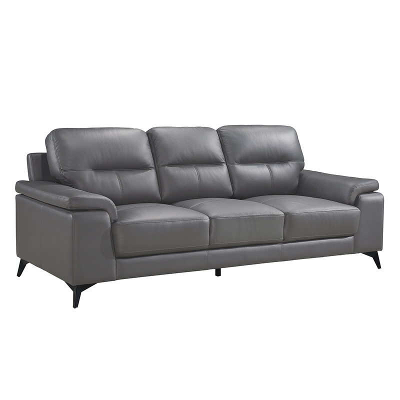 Lexicon Mischa Leather 2-Piece Upholstered Sofa Set in Dark Gray