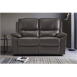 Lexicon Dawson Faux leather 2-Piece Manual Reclining Sofa Set in Brown
