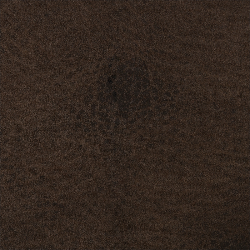 Lexicon Proctor Microfiber Manual Double Reclining Sofa in Brown