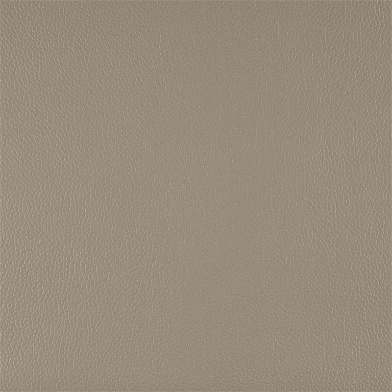 Lexicon Lewes 2-Piece Leather Match Sofa Set in Latte