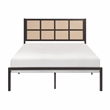 Lexicon Sanibel Contemporary Metal Queen Platform Bed in Dark Bronze