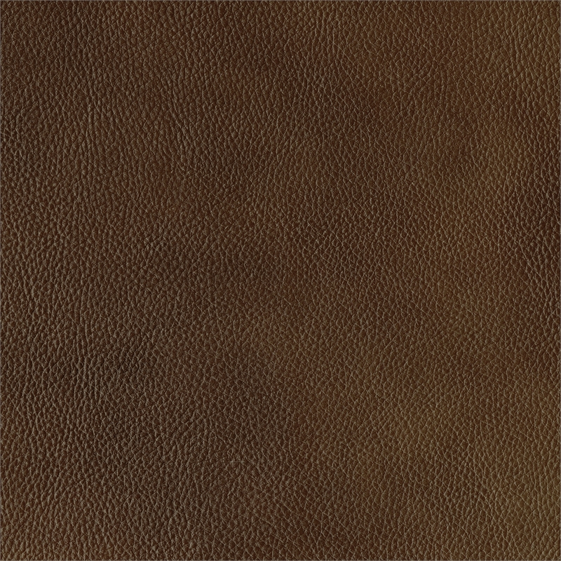 Lexicon Ellicott Leather Match Double Reclining Sofa in Brown