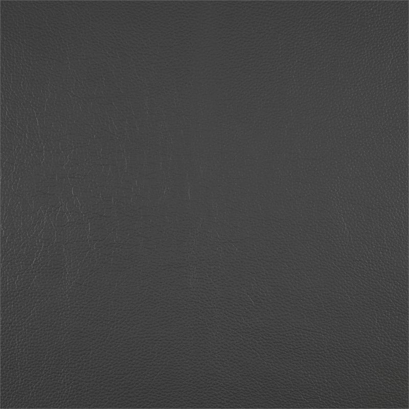 Lexicon Laconia Leather Double Reclining Love Seat in Dark gray