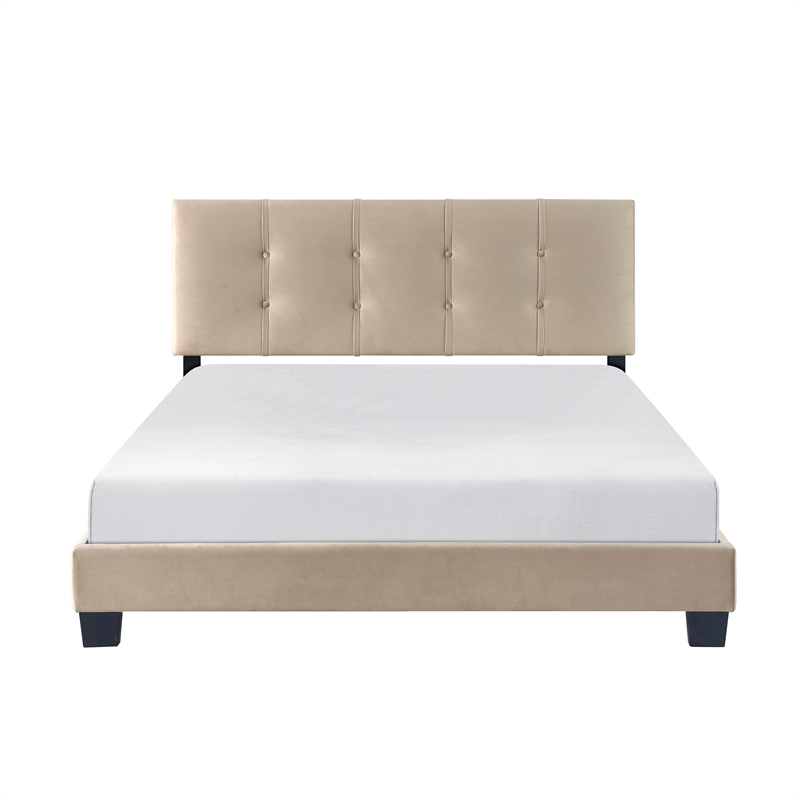 Lexicon Newberry Velvet Queen Platform Bed in Light brown