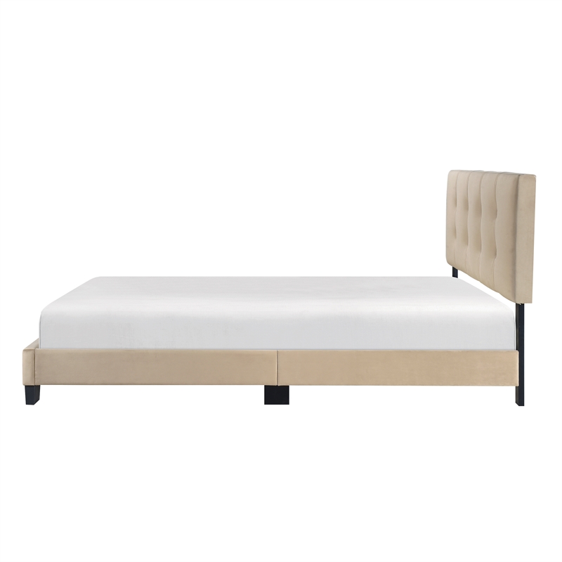 Lexicon Newberry Velvet Queen Platform Bed in Light brown